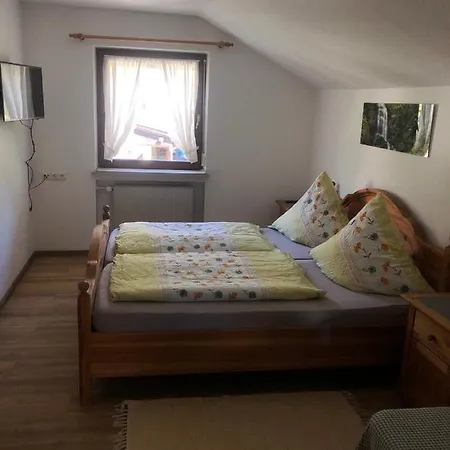 Apartment Lipp